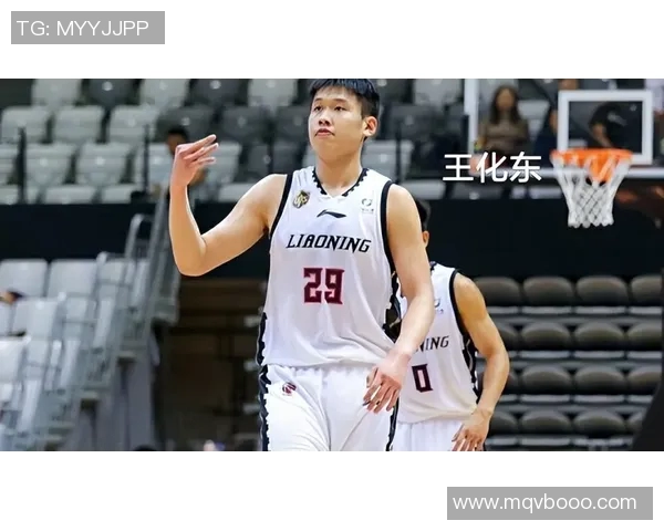 CBA球员交易动态分析及各队阵容调整趋势探讨